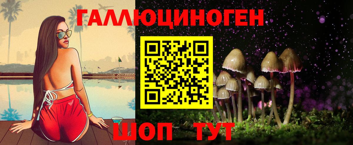 Североуральск  Псилоцибиновые грибы Magic Shrooms  Вход с VPN  Галлюциногенные грибы Psilocybe 